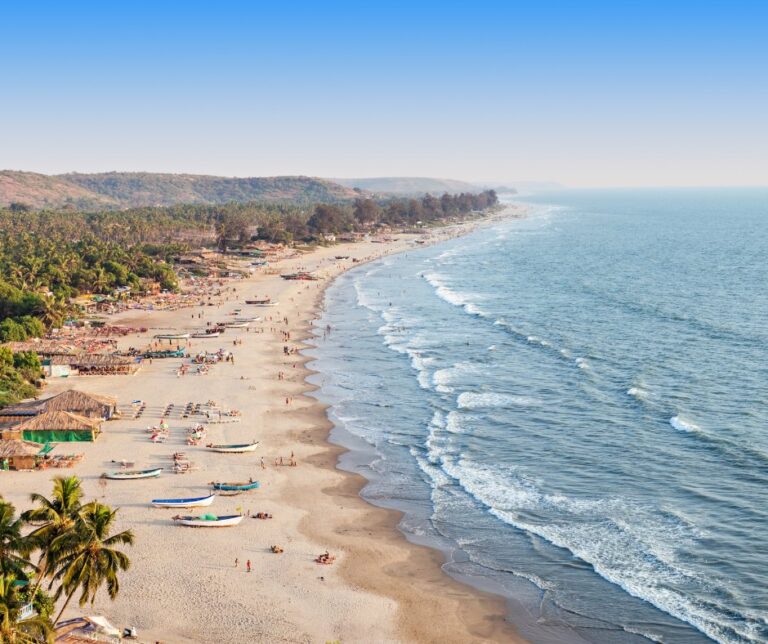 The Best Beach Party Spots in Goa